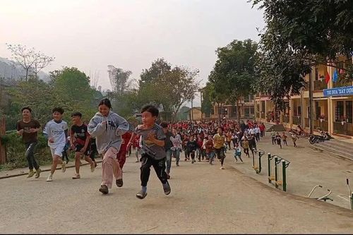 Học sinh Yên Bái tích cực tham gia Ngày chạy Olympic vì sức khỏe toàn dân
