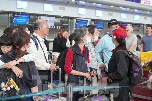 Cô giáo tá hỏa bỗng dưng thành giám đốc doanh nghiệp, bị cấm xuất cảnh