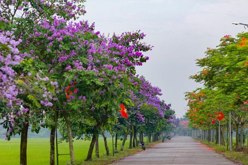 Hai tỉnh nào từng hợp nhất thành Hải Hưng?