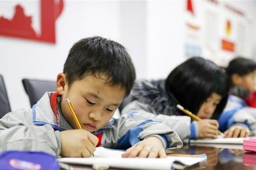Ông bố phản đối học thêm vì cho rằng 'kiến thức không thể mua bằng tiền'