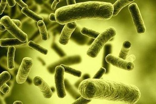 Nam thanh niên ở TPHCM bị liệt tứ chi sau khi ăn pate đóng hộp