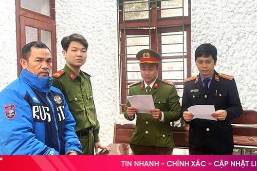 Tập trung điều tra, xử lý nghiêm các vi phạm về giao thông đường bộ