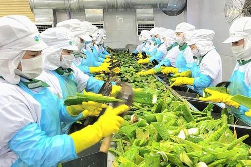 GC Food sẽ chào bán hơn 7 triệu cổ phiếu trong năm 2025