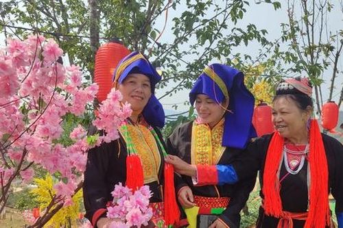 Kỳ vọng mới từ Lễ hội hoa anh đào Kỳ Thượng