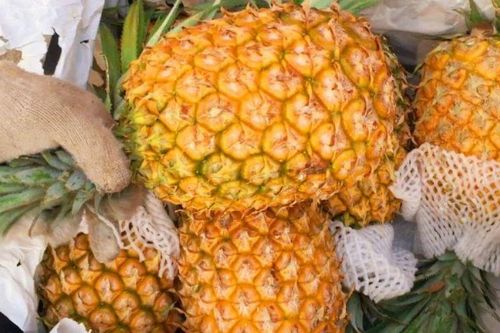 Bí quyết chọn dứa ngon ngọt: Mẹo nhỏ nhưng hiệu quả không ngờ!