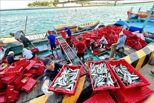 EU sẽ kiểm soát asen vô cơ trong nhiều loại thủy sản nhập khẩu