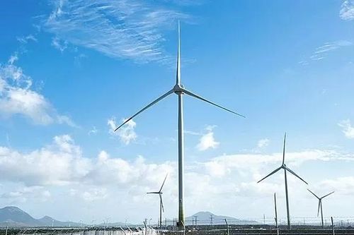 Hậu Giang chấm dứt hoạt động dự án điện gió 3.220 tỷ đồng