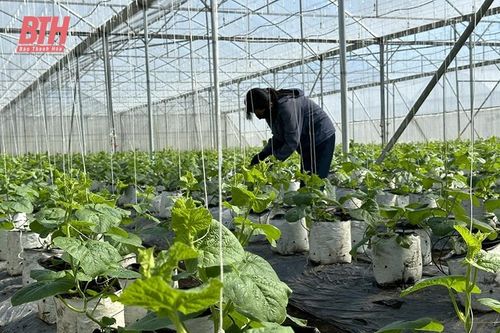 Thọ Xuân hoàn thành và vượt kế hoạch các nhiệm vụ trọng tâm