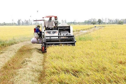 UBND huyện Châu Phú trả lời kiến nghị của cử tri