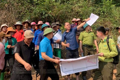Nâng cao chất lượng chi trả dịch vụ môi trường rừng