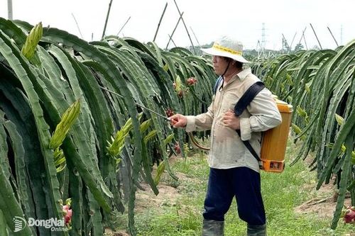Ưu tiên sử dụng thuốc bảo vệ thực vật sinh học và phân bón hữu cơ