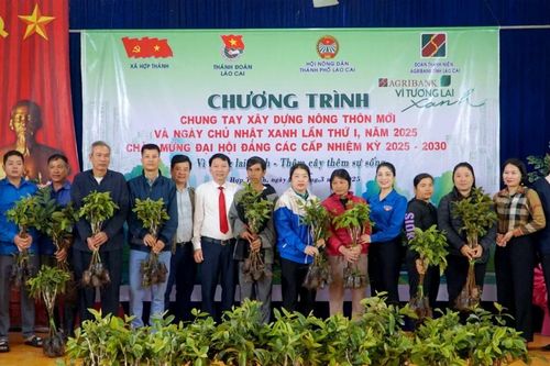 Thành phố Lào Cai ra quân chương trình chung tay xây dựng nông thôn mới và Ngày Chủ nhật xanh lần thứ I