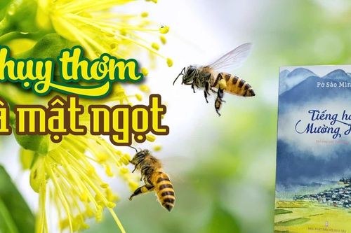 Nhụy thơm và mật ngọt