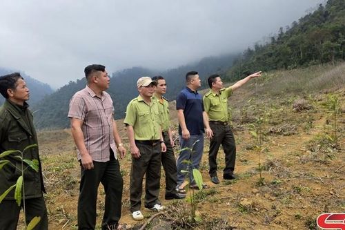 Tạo sinh kế cho nhân dân vùng đệm rừng đặc dụng Tà Xùa