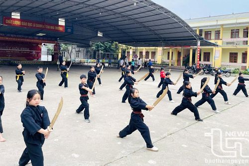 Phát triển võ cổ truyền trong trường học