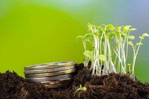 Nhà đầu tư hướng tới nhu cầu thích ứng khí hậu