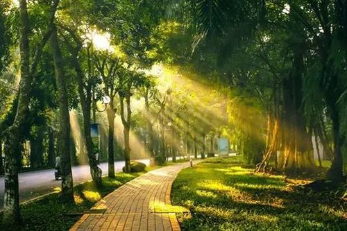 Thời tiết 24/3: Hà Nội nắng ấm ngày đầu tuần