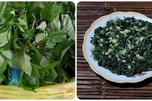 Tác dụng của rau tầm bóp