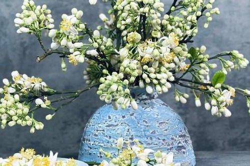 Mãn nhãn những cách cắm hoa bưởi đẹp mê li, thơm phức đầy sinh khí, giúp bạn luôn dồi dào năng lượng và vượng tài lộc