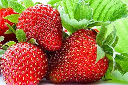 Hai lợi ích tuyệt vời của việc ăn dâu tây đối với người cao tuổi