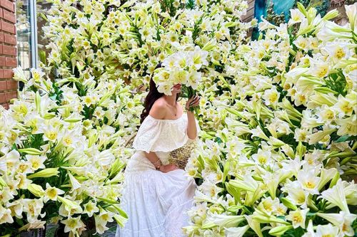 Người phụ nữ Hải Phòng cắm 2.000 bông loa kèn trong khuôn viên nhà