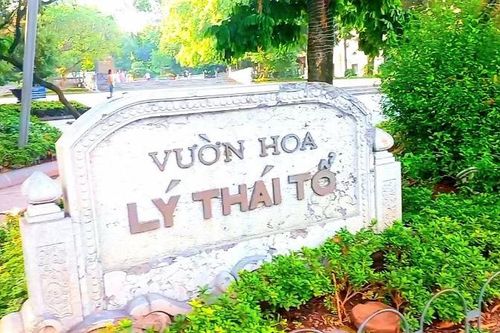 Hà Nội không chặt hạ cây cổ thụ tại vườn hoa Lý Thái Tổ