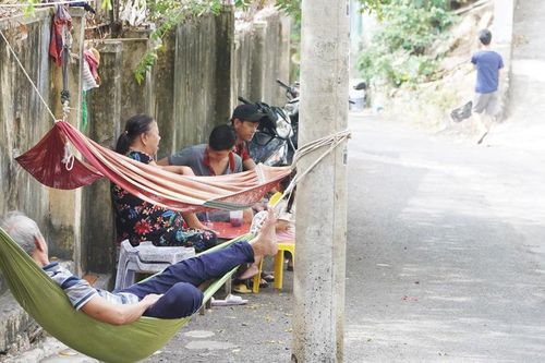 Cột điện 'mọc' trên đường lên di tích