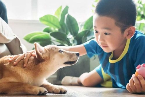 Dạy con yêu động vật - Bài học về trách nhiệm