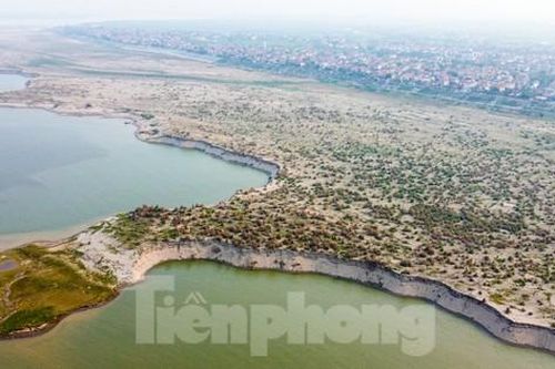 Cát tặc lộng hành, bức tử bờ sông Hồng