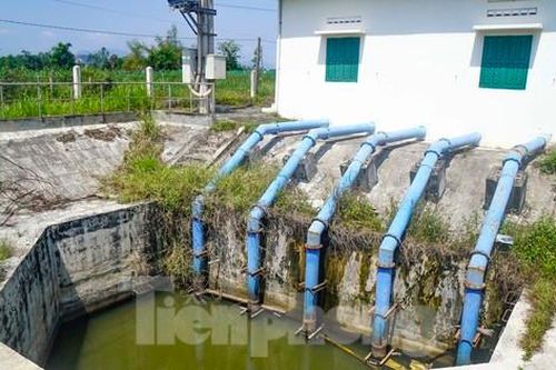 Trạm bơm hơn 37 tỷ đồng ở Bình Định vận hành được vài tháng rồi 'đắp chiếu'