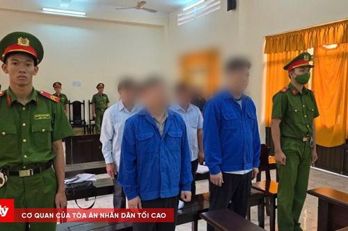 Cựu Giám đốc Vườn Quốc gia U Minh Thượng và đồng phạm hầu tòa