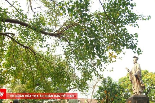 Vườn hoa Lý Thái Tổ trước thời điểm được cải tạo lại