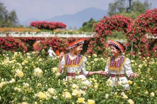 Chinh phục đỉnh Fansipan mùa hoa đỗ quyên