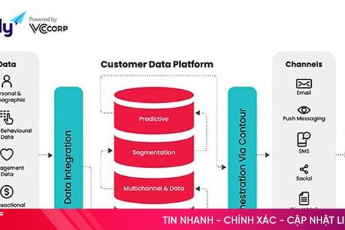 Tích hợp CDP với Marketing Automation để tối ưu hiệu suất chiến dịch