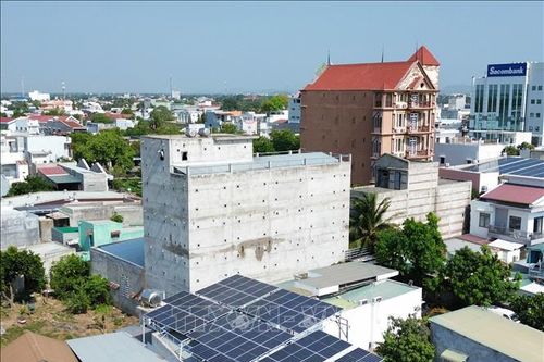 Quản lý, chấn chỉnh việc tuân thủ quy định về nuôi chim yến