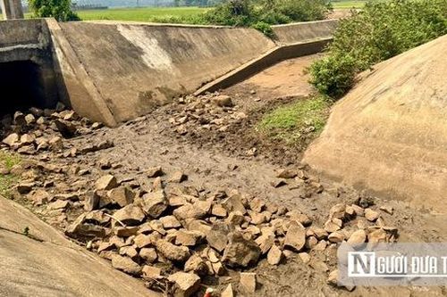 Hạn hán khốc liệt ở Tây Nguyên: Nông dân chật vật giữ nước cho mùa màng