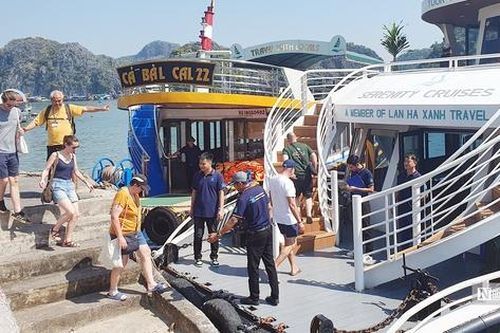Du lịch Cát Bà đón hơn 490.000 lượt du khách trong quý I/2025