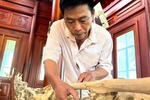 Nguy cơ mất thương hiệu Trầm hương Phúc Trạch