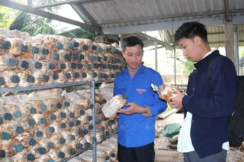 Tuổi trẻ Quảng Trị tạo đột phá từ ứng dụng khoa học công nghệ