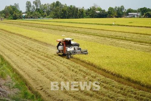 Chuyển mình từ vùng đất nhiễm phèn đến huyện nông thôn mới Tháp Mười