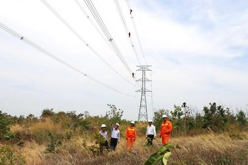 PTC3 nâng cao khả năng ứng phó với các tình huống thiên tai, sự cố bất ngờ