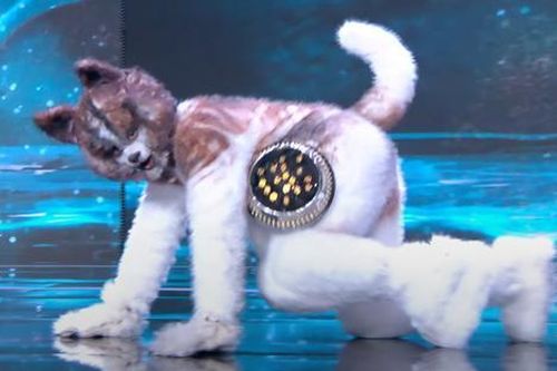 Tranh cãi phần trình diễn giả chó của thí sinh Miss Grand Thailand