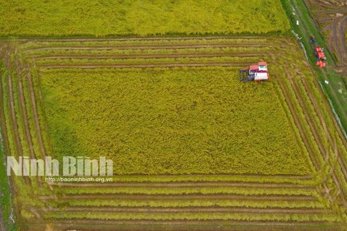 Danh mục dự án phải thu hồi đất trên địa bàn tỉnh Ninh Bình năm 2025
