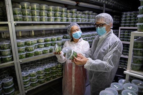 Đưa công nghệ cao về nông nghiệp của Israel vào Việt Nam