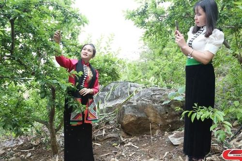 Thực nghiệm hệ sinh thái chuyển đổi số cho doanh nghiệp nhỏ và vừa