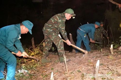 Báo động đỏ cháy rừng - thiệt hại khó lường