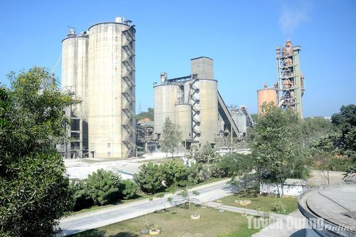 Công ty cổ phần xi măng Tân Quang - VVMI: Sản xuất gắn với bảo vệ môi trường