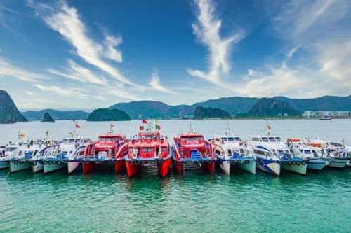 Du lịch Cô Tô (Quảng Ninh): Các chủ tàu cam kết không tăng giá vé