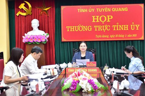 Thường trực Tỉnh ủy cho ý kiến về việc tổ chức hoạt động khai mạc Năm Du lịch Tuyên Quang 2025