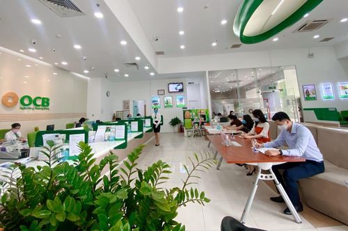 Con gái ông Trịnh Văn Tuấn bán trọn 45 triệu cổ phiếu OCB đã đăng ký